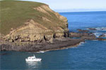 COAST UP CLOSE AKAROA CRUISES - Akaroa