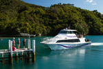 COUGAR LINE - Marlborough Sounds