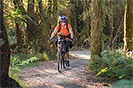 WESTCOAST WILDERNESS TRAIL - West Coast