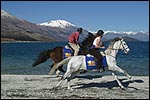 DART STABLES - Glenorchy, Queenstown