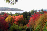 EASTWOODHILL ARBORETUM - Gisborne