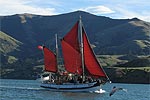 AKAROA FOX II SAILING AND WILDLIFE TOURS - Akaroa