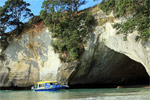 GLASS BOTTOM BOAT - Whitianga, Coromandel