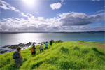 HIKING NEW ZEALAND - Nationwide