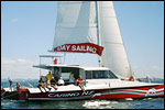 CARINO SAILING & DOLPHIN CHARTERS - Bay of Islands