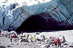 SCENIC PACIFIC TOURS - Fox and Franz Glacier, West Coast