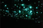 SPELLBOUND GLOWWORM AND CAVE TOURS - Waitomo