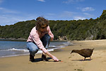 STEWART ISLAND EXPERIENCE - Paterson Inlet Cruises