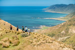 TORA COASTAL WALK - Wairarapa